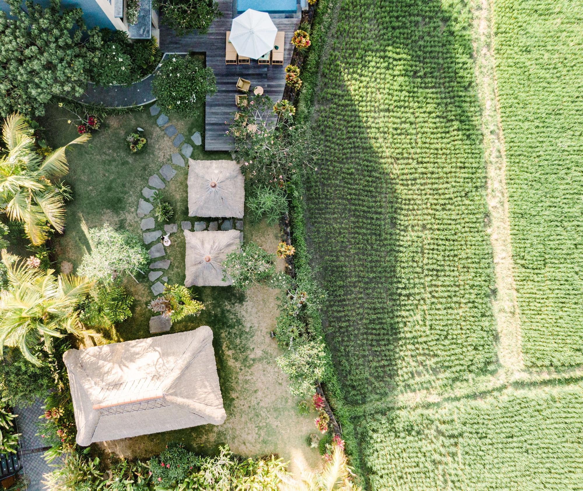 Byasa Ubud Eksteriør billede