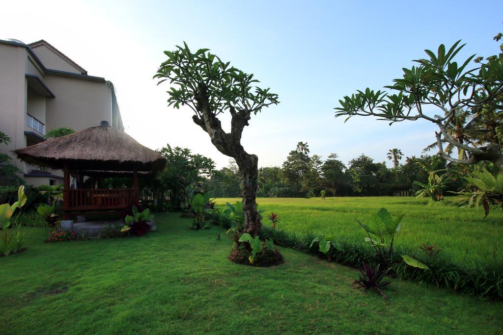 Byasa Ubud Eksteriør billede