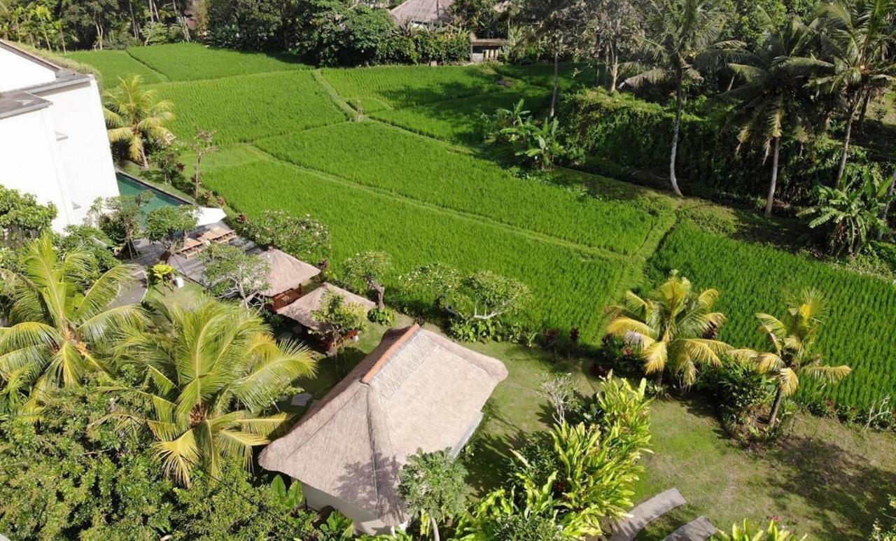 Byasa Ubud Eksteriør billede