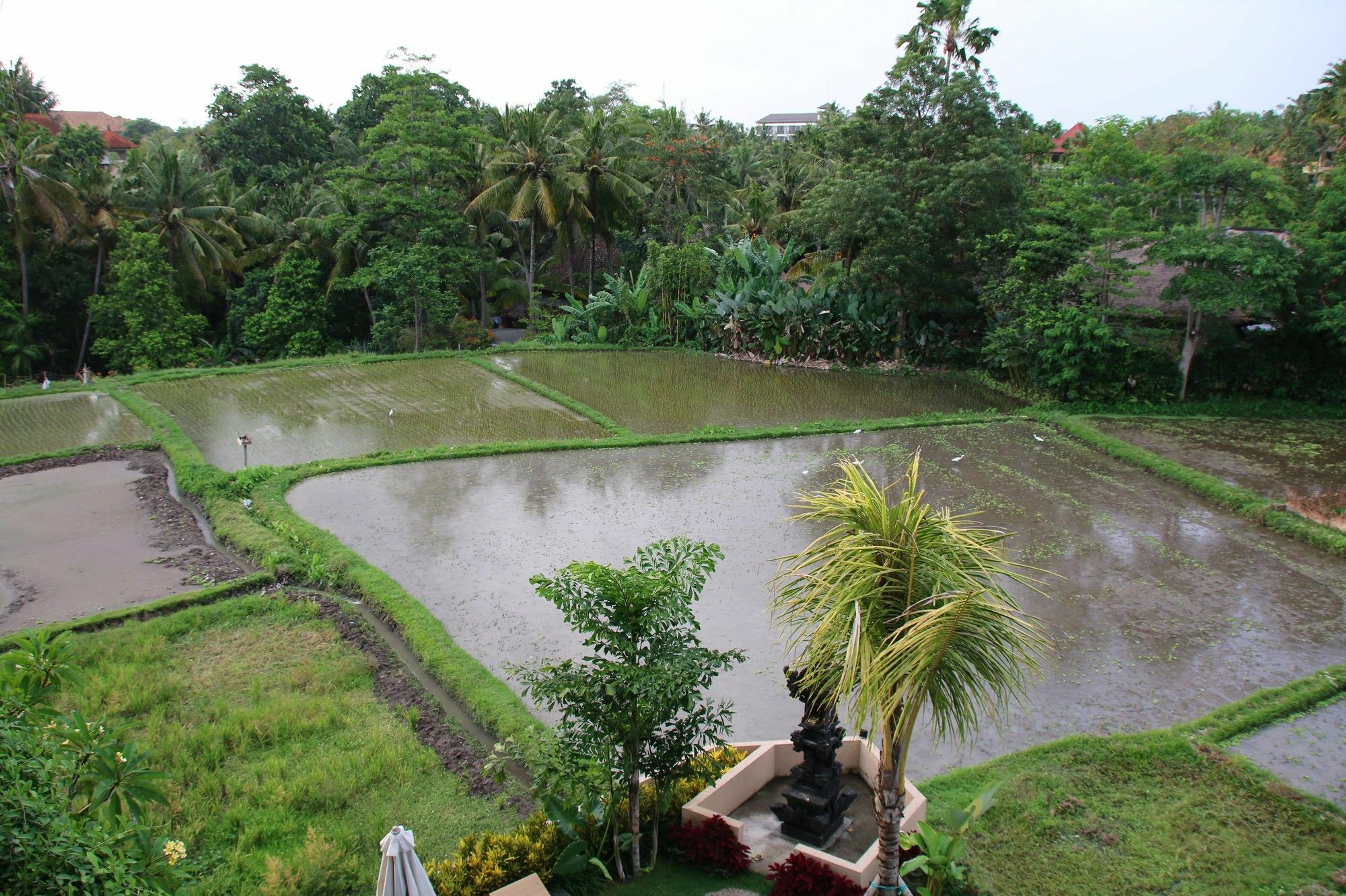 Byasa Ubud Eksteriør billede