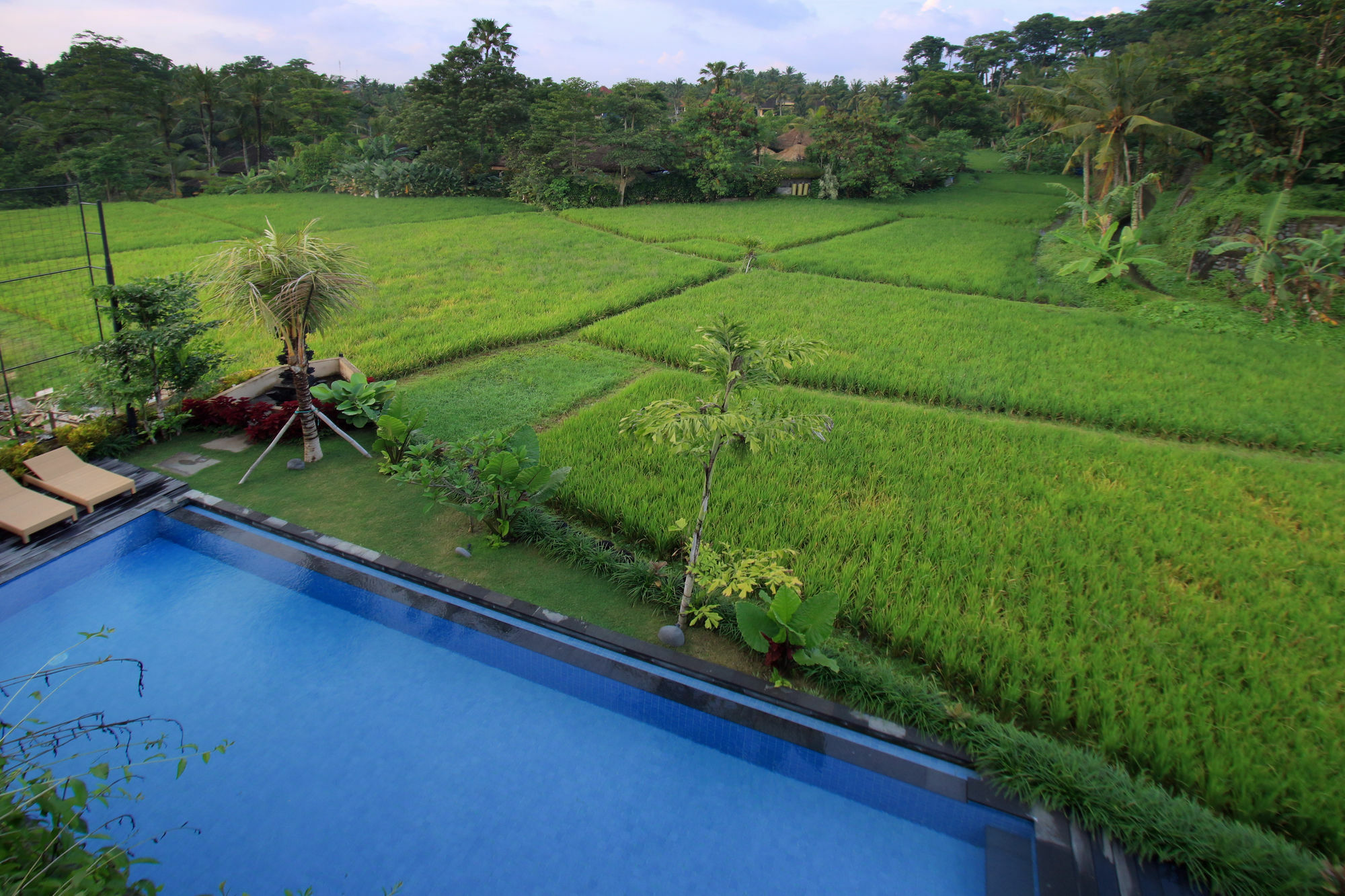 Byasa Ubud Eksteriør billede