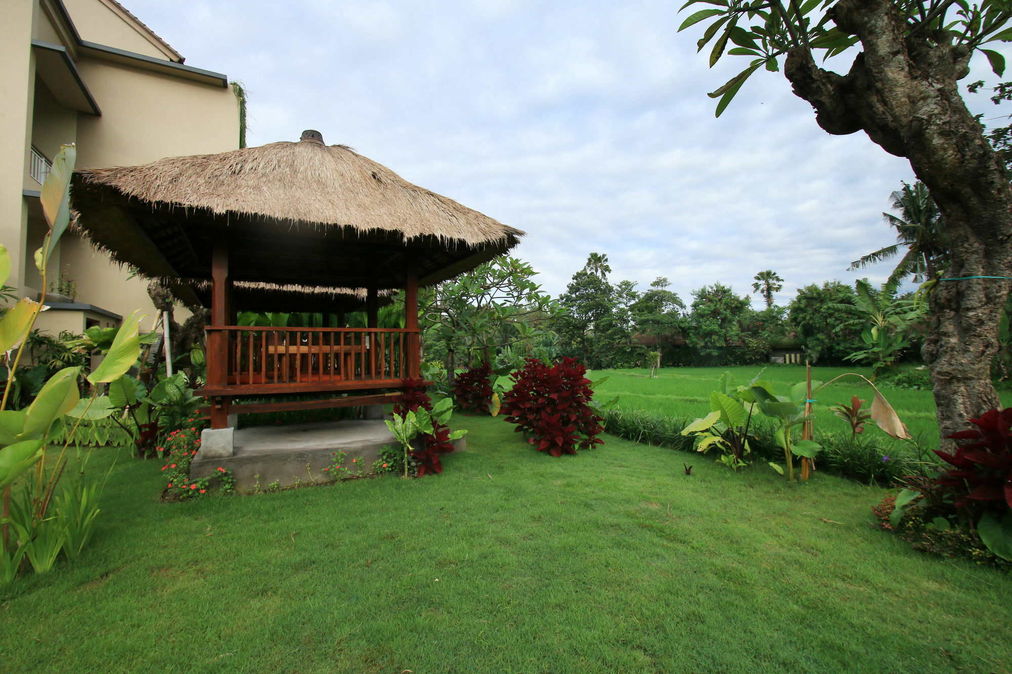 Byasa Ubud Eksteriør billede