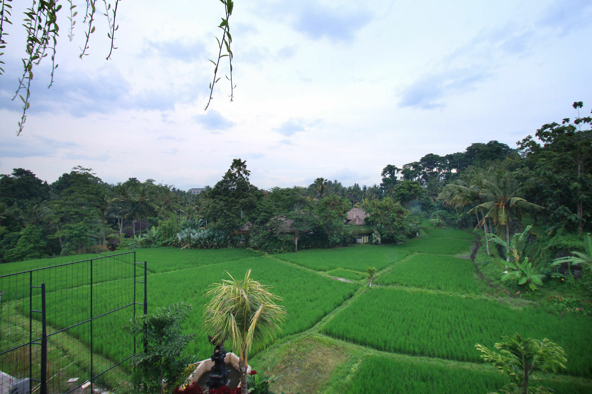 Byasa Ubud Eksteriør billede